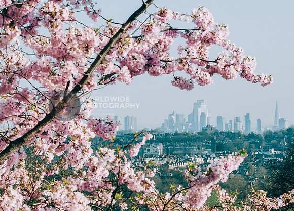 London from Ally Pally