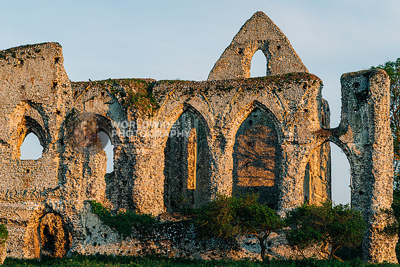 Newark priory