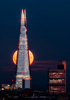 London | Wolf moon
