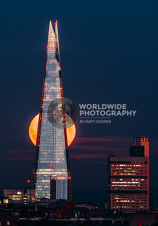 London | Wolf moon