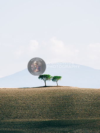 Leaning in | Tuscany