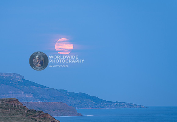 Strawberry Moon at West Wight