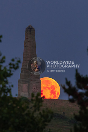 Strawberry Moon at Culver Down