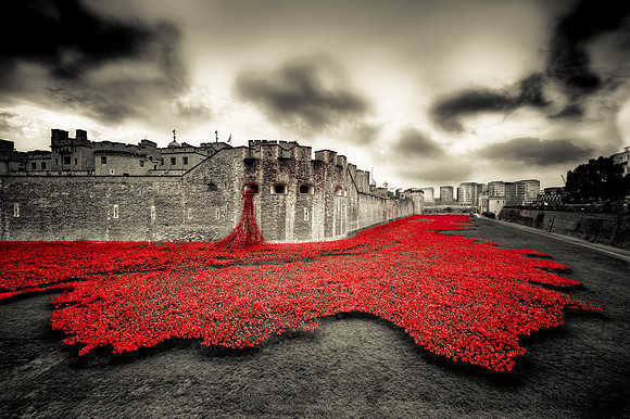 Poppies at the Tower of London