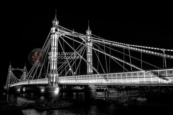 Albert Bridge II