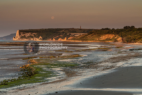 The beach looking towards Whitecliff Bay
