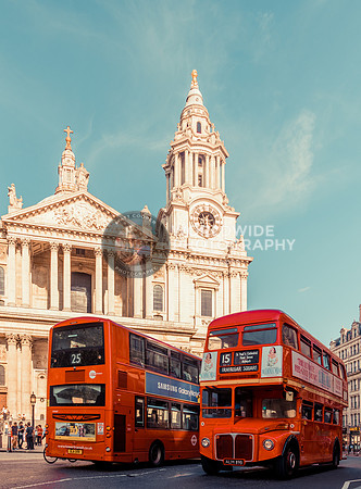 2 buses