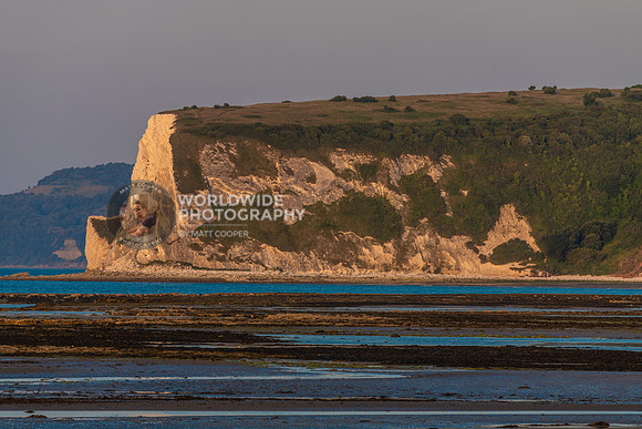 Sunrise light bathing White Cliff Bay
