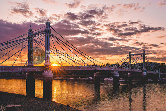 Albert Bridge at sunset