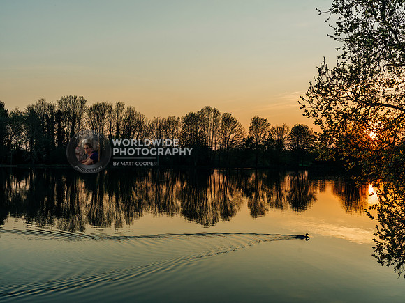 Coxes Mill Pond