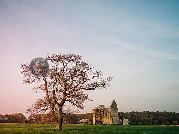 Newark Abbey ruins