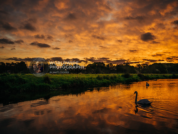 Ripley sunrise