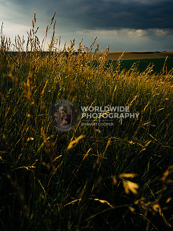 The South Downs