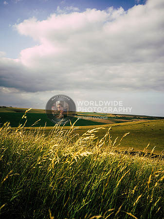 The South Downs II