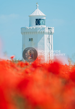 Dover Poppies