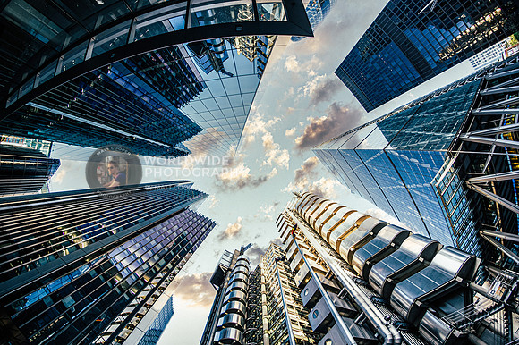 Looking Up