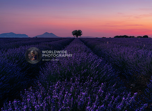 Provence