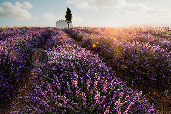 Provence at sunrise
