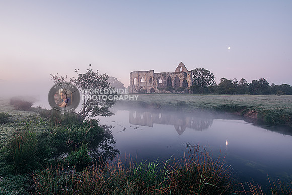 Newark Priory at dawn