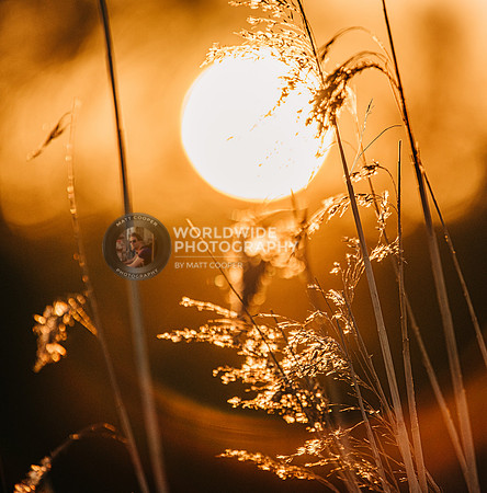 Sundowner