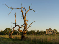 Newark Priory