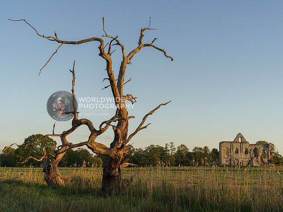 Newark Priory