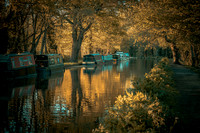The River Wey at sunset