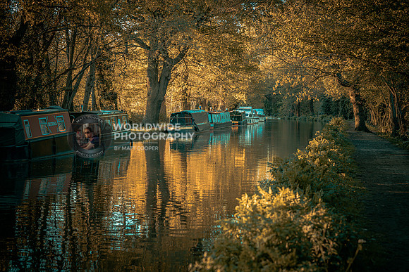 The River Wey at sunset