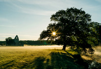 Newark Priory | Misty sunrise