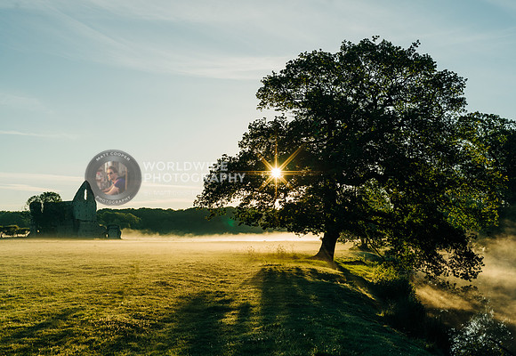 Newark Priory | Misty sunrise
