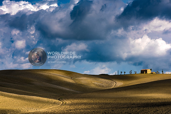 Rolling fields in Tuscany