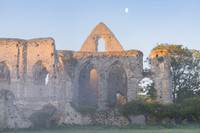 Mist at Newark Priory