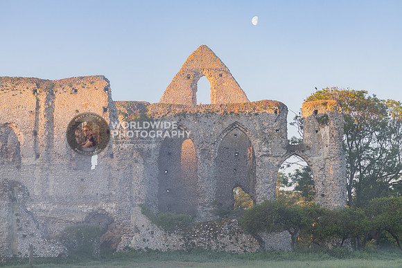 Mist at Newark Priory