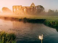Sunrise in the mist
